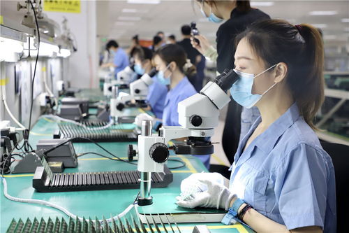 石家庄设立200亿元产业发展基金 聚焦电子信息与生物医药